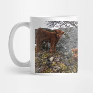 Scottish Highland Cattle Calves 1745 Mug